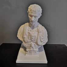 Load image into Gallery viewer, Julius Caesar Desk Pen Holder