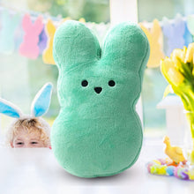 Load image into Gallery viewer, Easter Stuffed Bunny