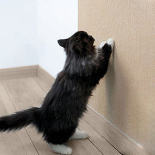 Load image into Gallery viewer, Cat Scratching Mat