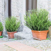 Load image into Gallery viewer, Lifelike Artificial Grass Plants