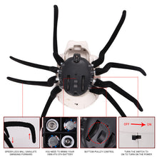 Load image into Gallery viewer, Halloween Skeleton Decor Remote Control Toy