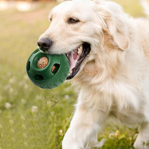 Pet Food Leakage Toy