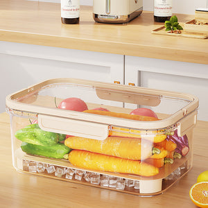 Portable Refrigerator Fresh-keeping Box