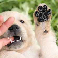 Load image into Gallery viewer, Dog Paw Protection