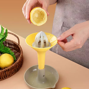 Rotary manual juicer