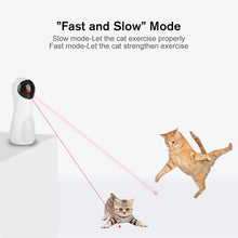 Load image into Gallery viewer, Funny Cat Toy