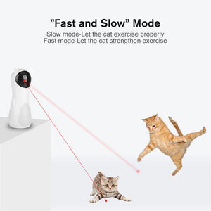 Funny Cat Toy