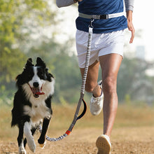 Load image into Gallery viewer, Hands Free Dog Leash