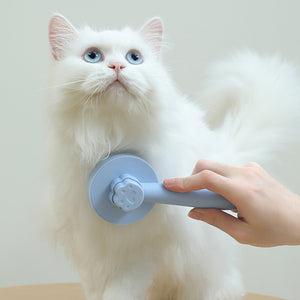 Pet Grooming Brush