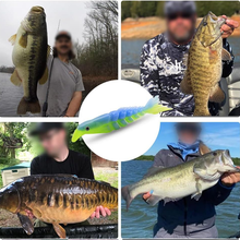Load image into Gallery viewer, Multi Segments Soft Lures