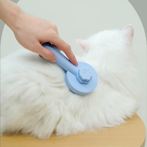 Pet Grooming Brush