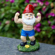 Load image into Gallery viewer, Funny Workout Garden Gnomes Statues