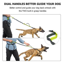 Load image into Gallery viewer, Handsfree Elastic Bungee Dog Leash