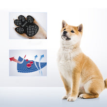 Load image into Gallery viewer, Dog Paw Protection