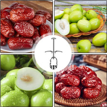 Load image into Gallery viewer, Fruit Corer