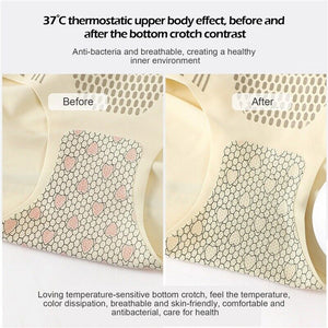 Ice Silk Ion Fibre Tummy Control Underpants
