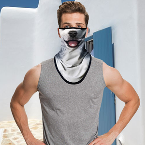 Sun Protection Mask