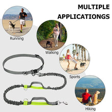 Load image into Gallery viewer, Handsfree Elastic Bungee Dog Leash