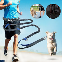 Load image into Gallery viewer, Hands Free Dog Leash