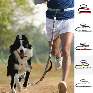 Hands Free Dog Leash