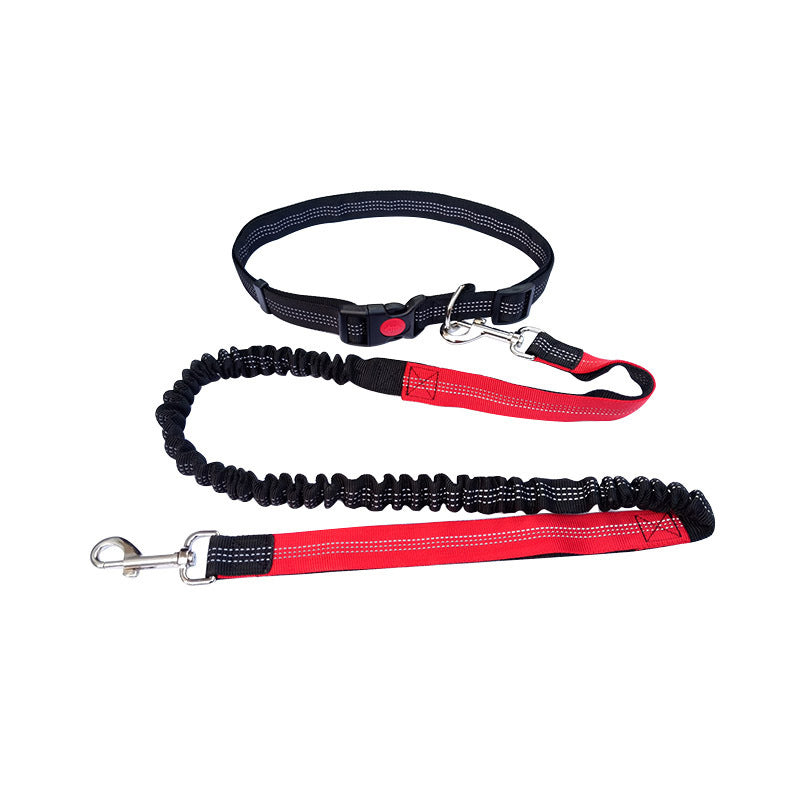 Hands Free Dog Leash