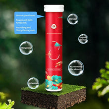 Load image into Gallery viewer, Home Gardening Universal Slow-Release Tablet Organic Fertilizer