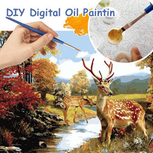 Load image into Gallery viewer, DIY Oil Painting By Numbers