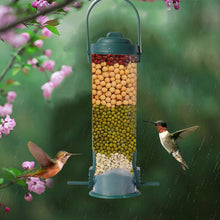 Load image into Gallery viewer, Squirrel-Proof Bird Feeder