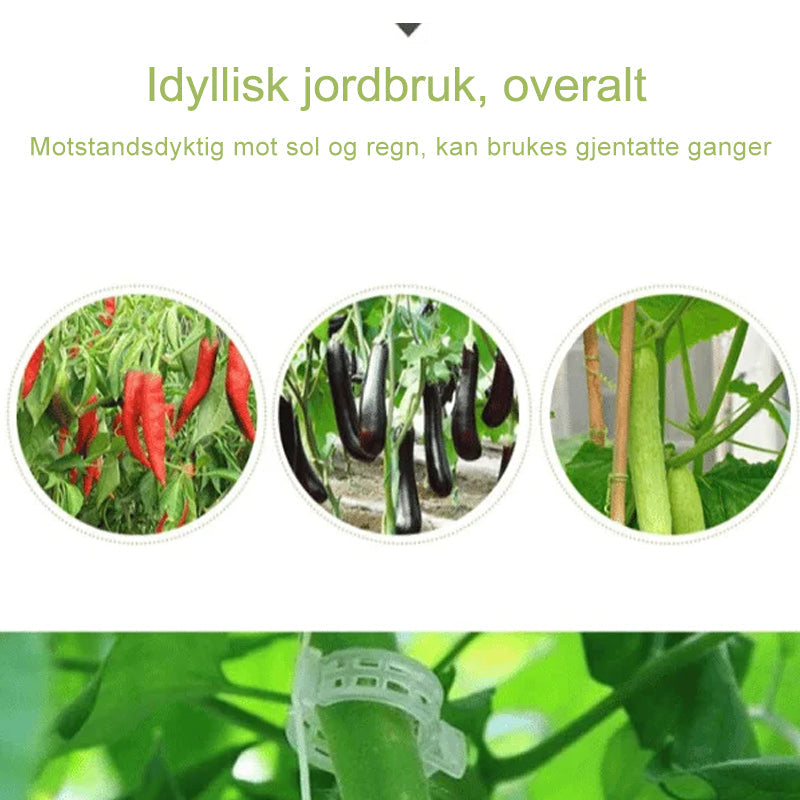 Tilbehør for plante-støtteklips