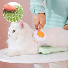 Load image into Gallery viewer, 2-in-1 cleansing pet hair removal brush